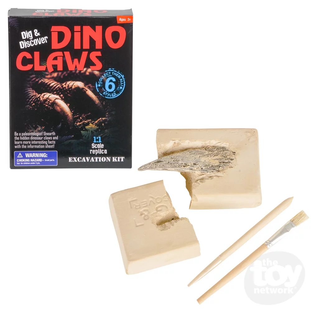 Dinosaur Claws & Teeth Fossil Replica Excavation Kit 