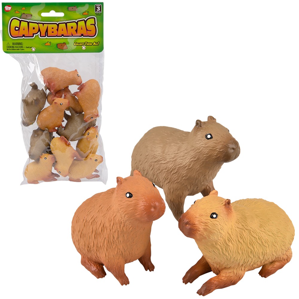 Capybara Compass Set (T) 2.5